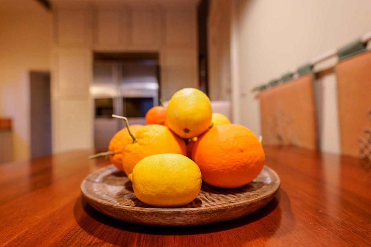 Suite Aldrovandi, With Private Garden Bolonya Dış mekan fotoğraf